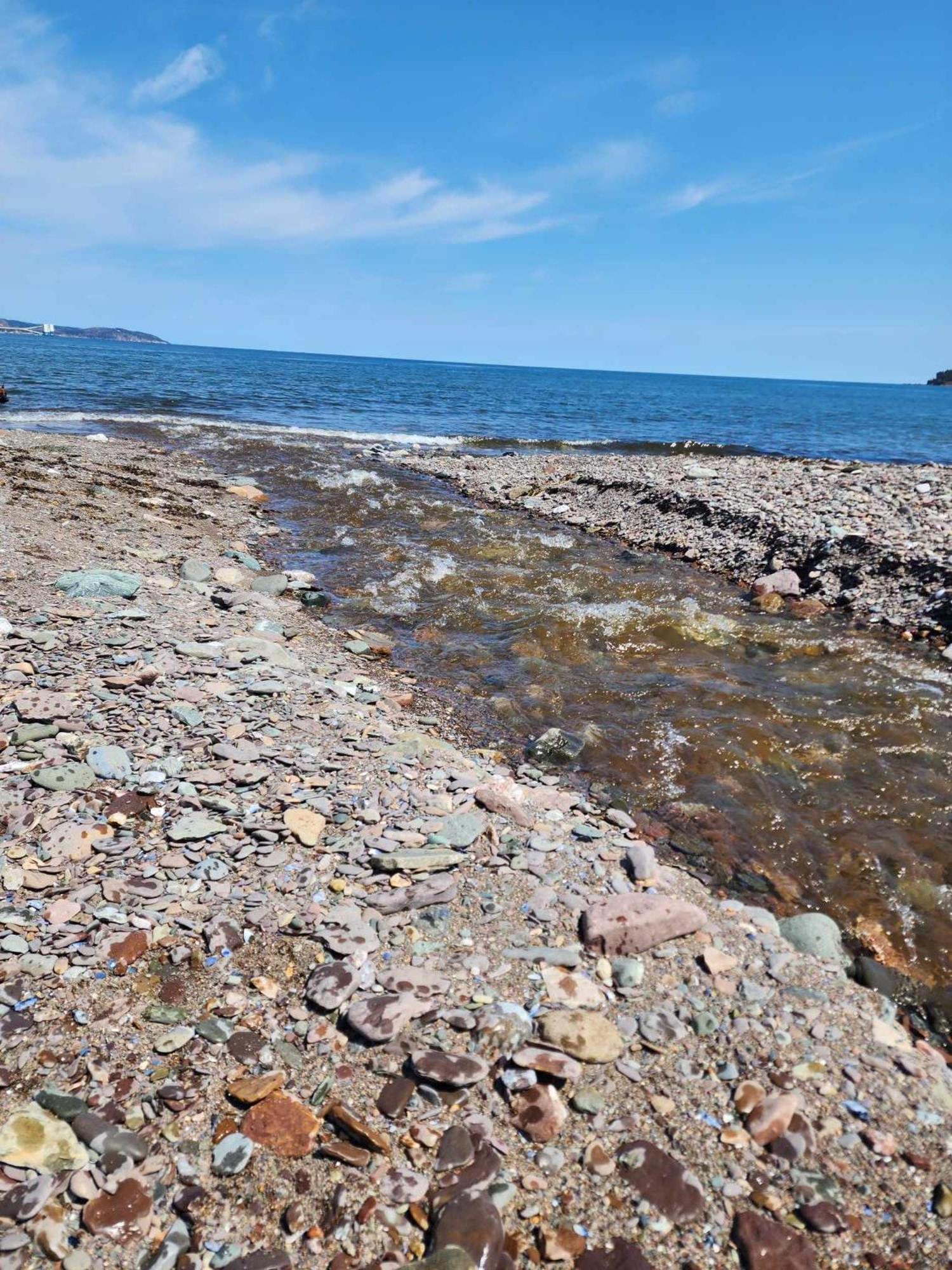 Oasis de la Baie
