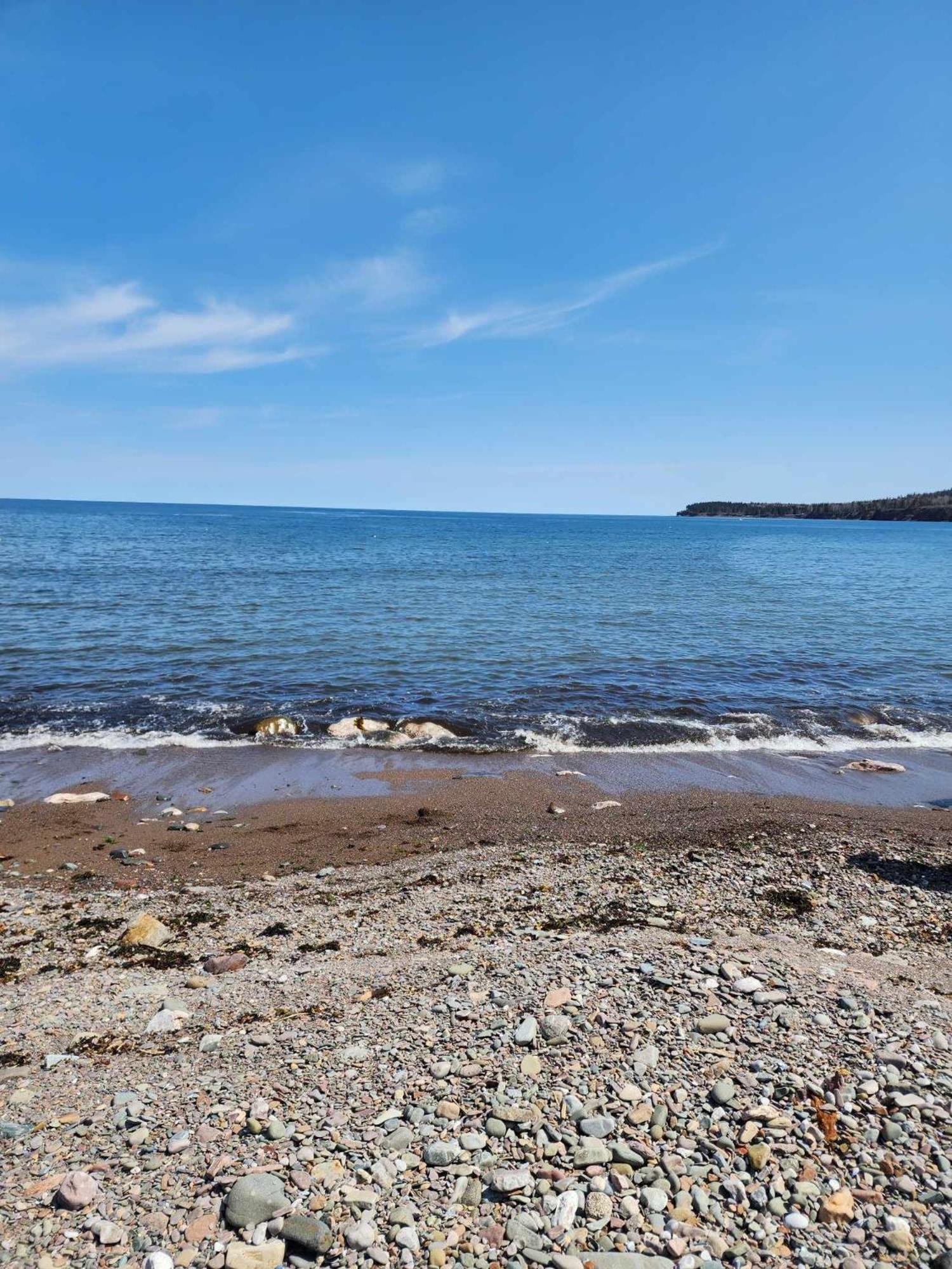 Oasis de la Baie