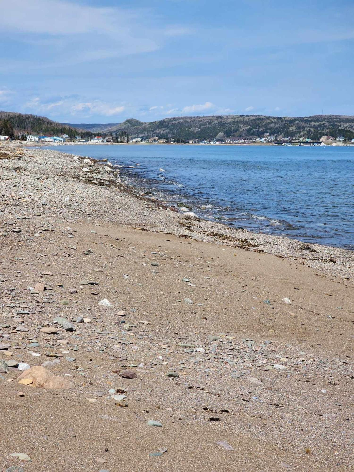 Oasis de la Baie