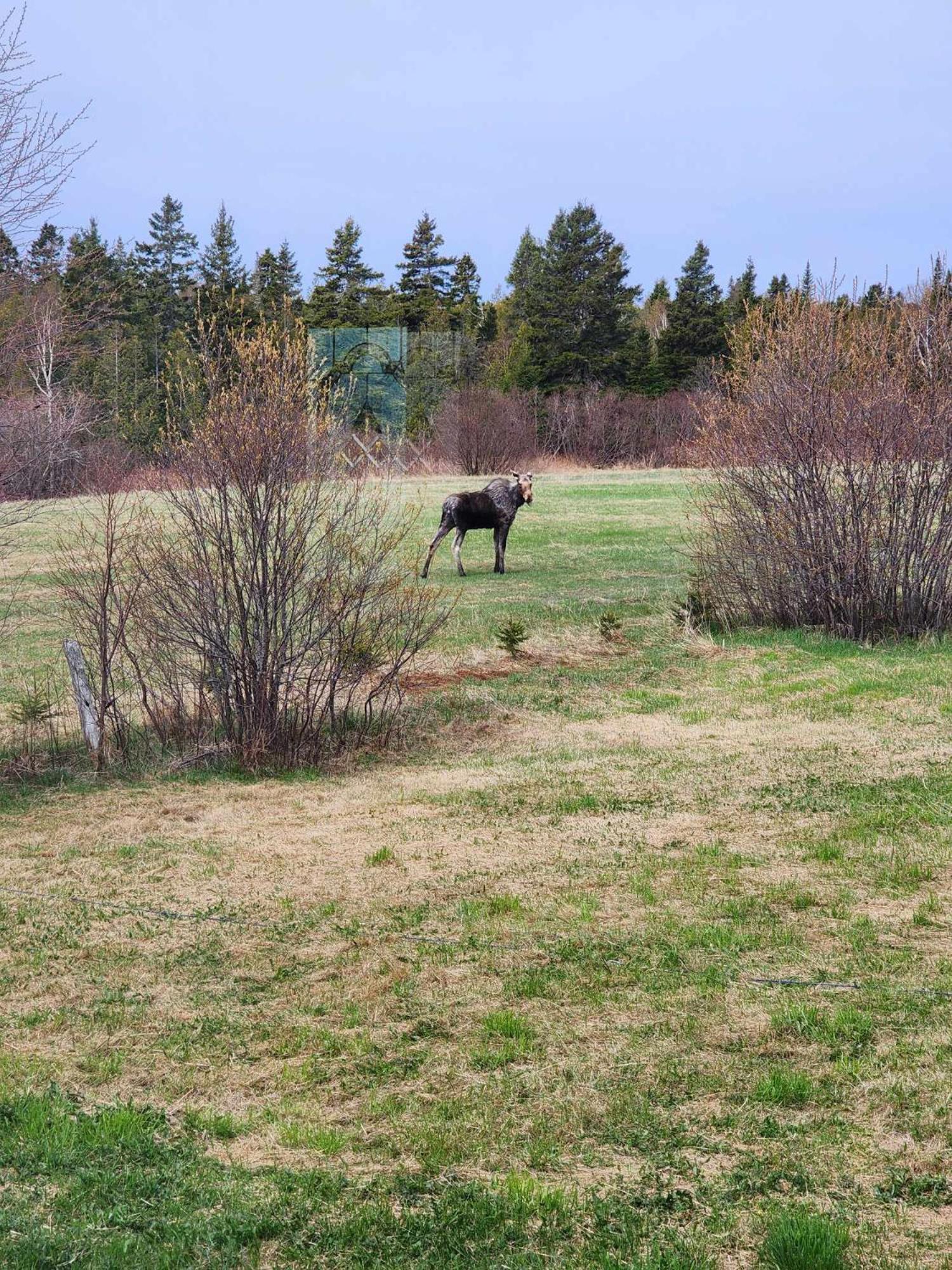 Oasis de la Baie