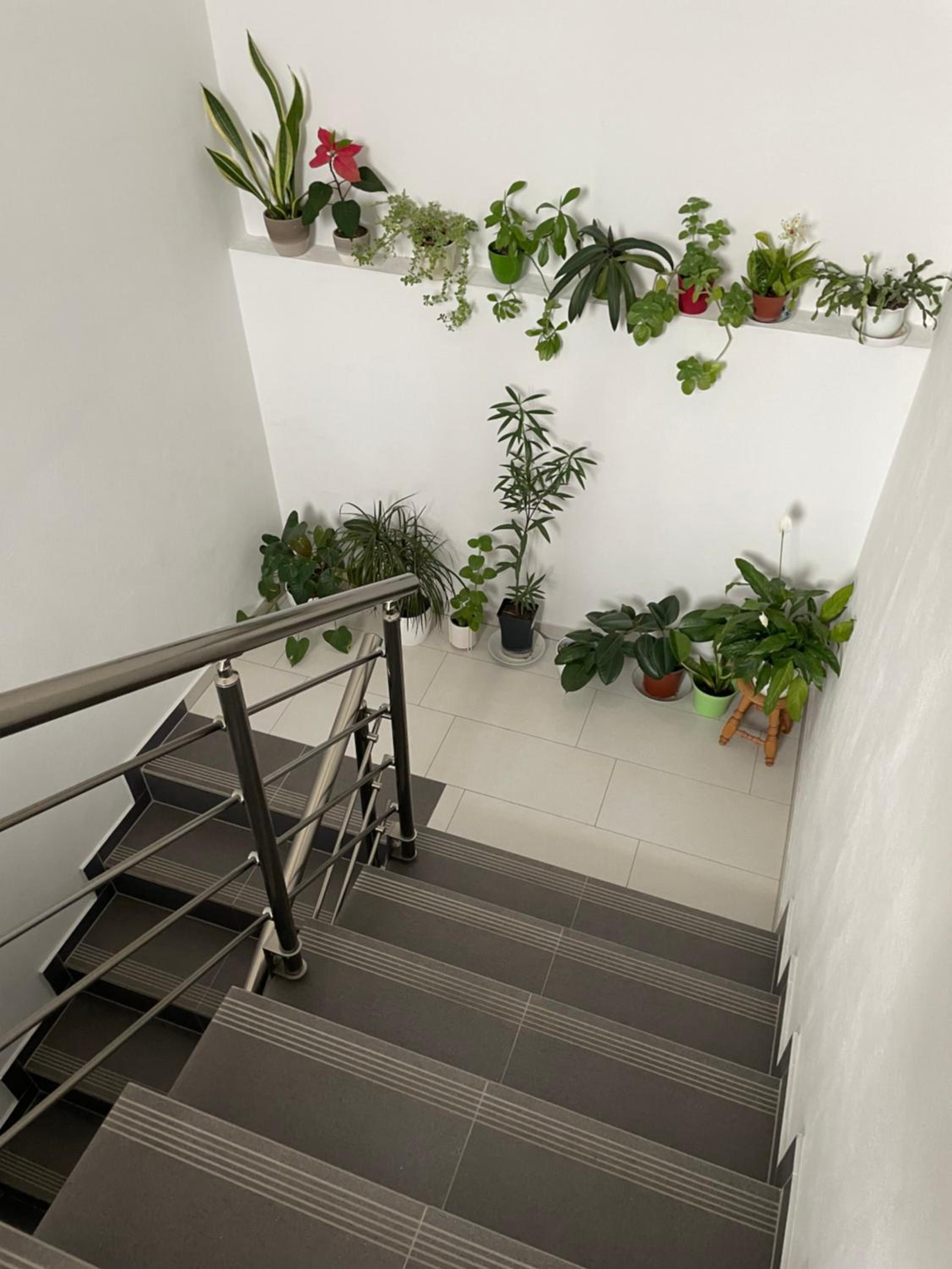 Apartmán ANSAT Opatovská 20 view 3