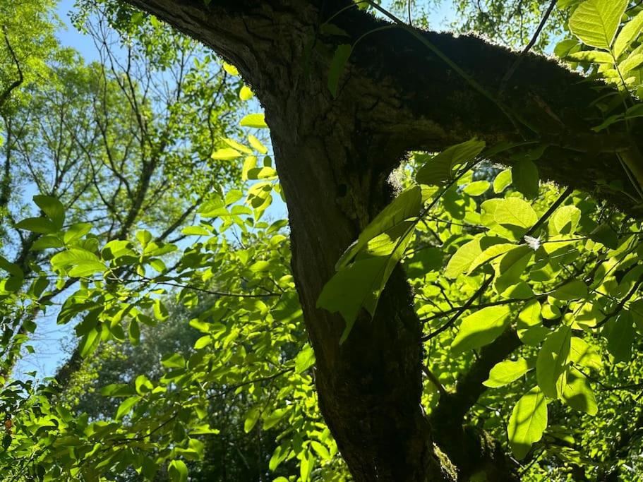 Gite 'la fée de Montigny sur Aube'