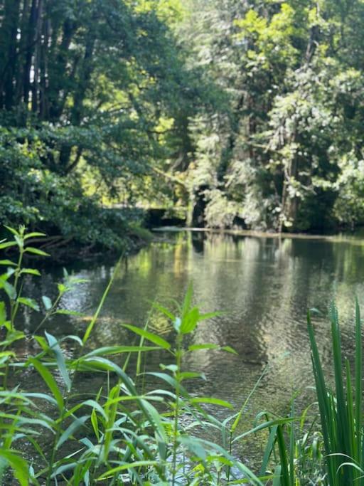 Gite 'la fée de Montigny sur Aube'