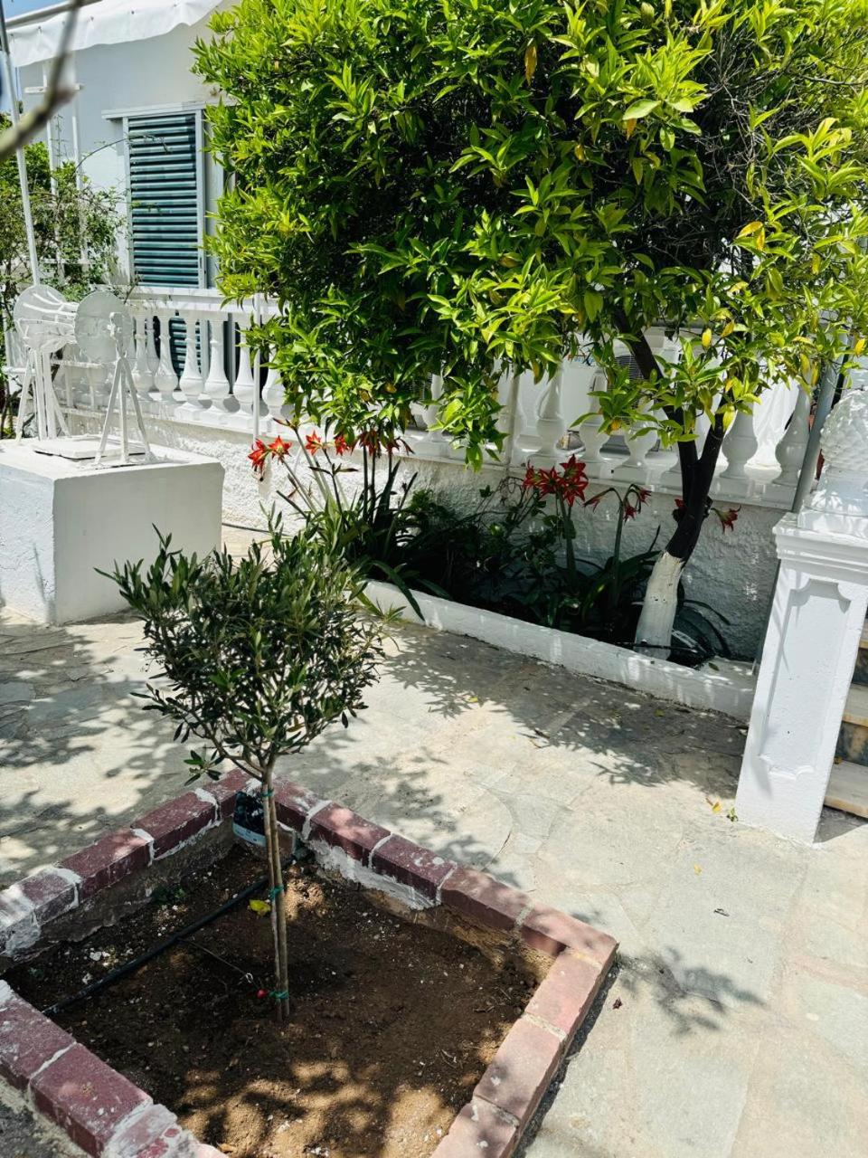 Photo 16