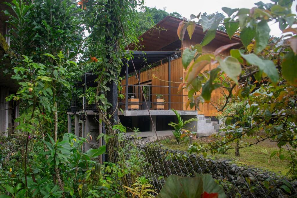 Maison Mindo