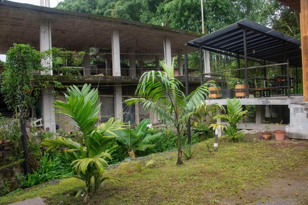 Maison Mindo