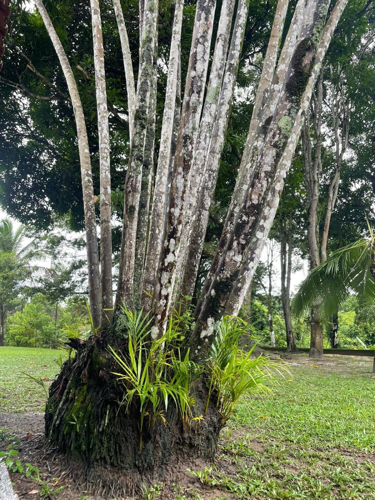 Sítio Exclusivo em Meio a Natureza Deslumbrante