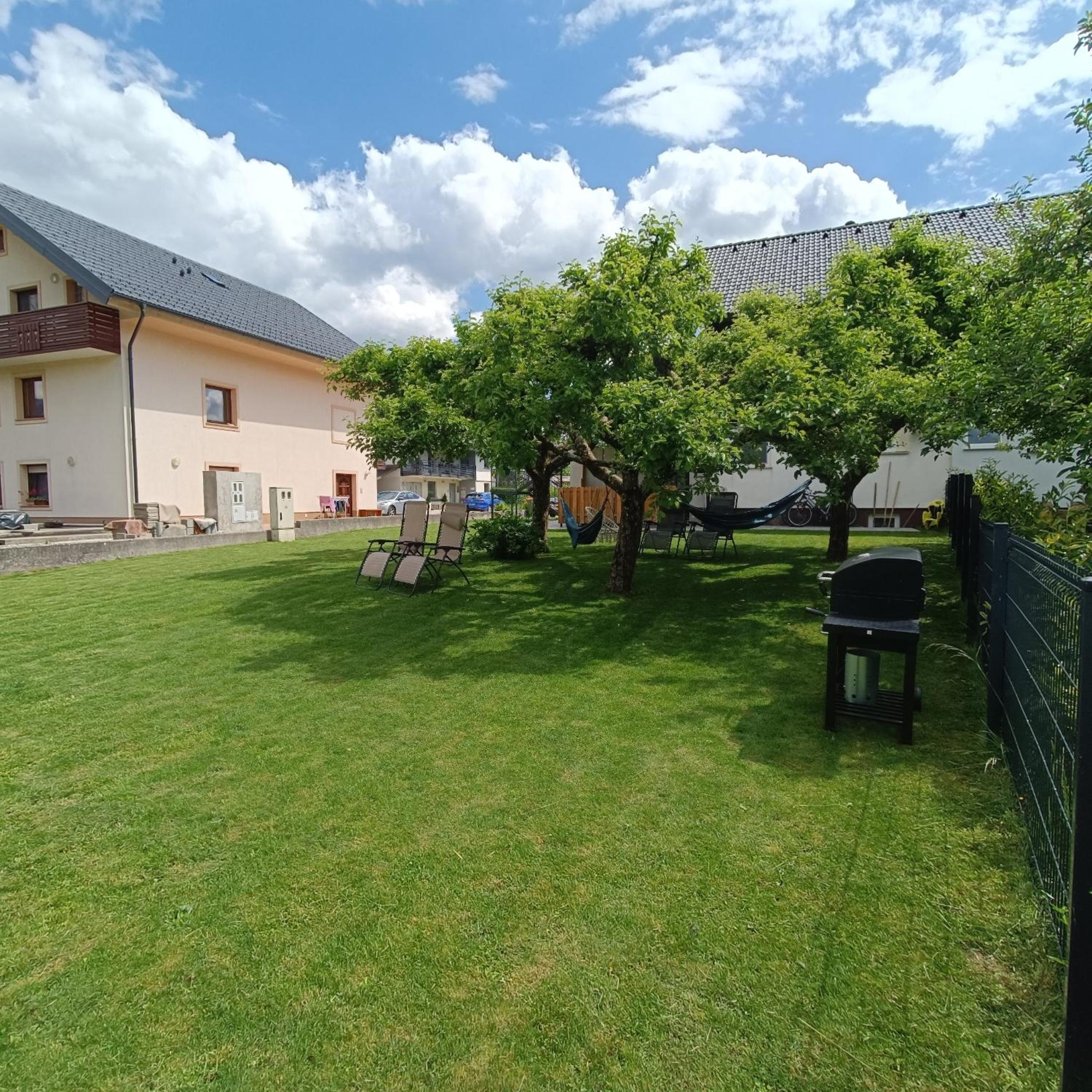 Photo 31