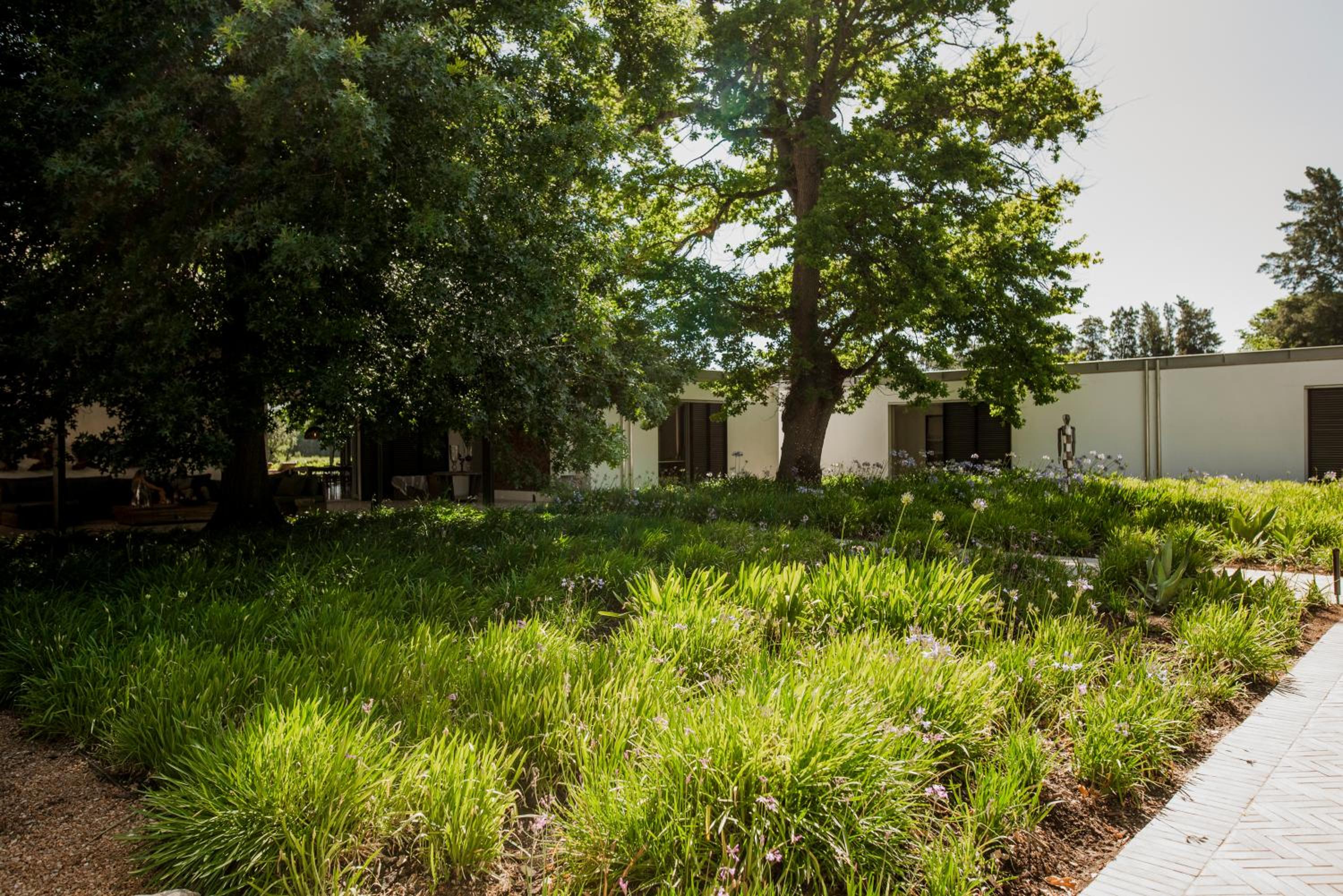 MAISON FRANSCHHOEK
