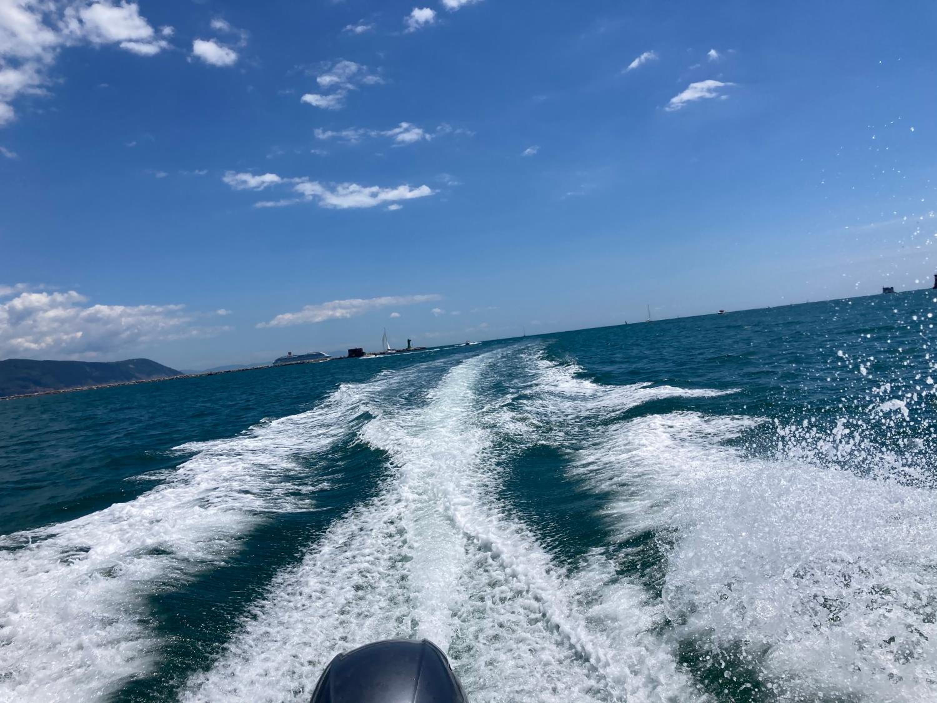 Photo 41