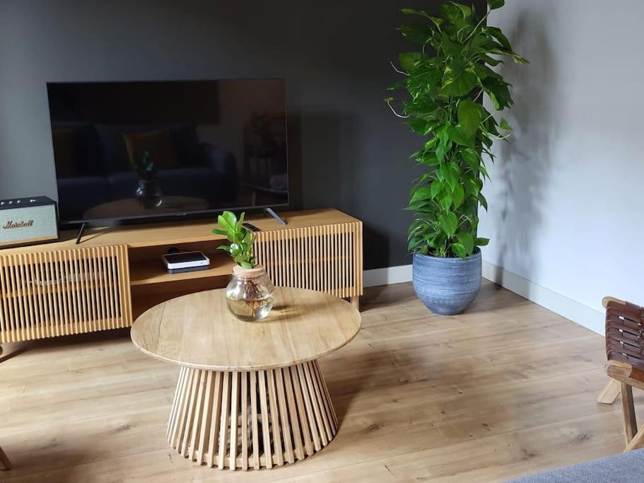 Canela Homes BARCELONA STYLE