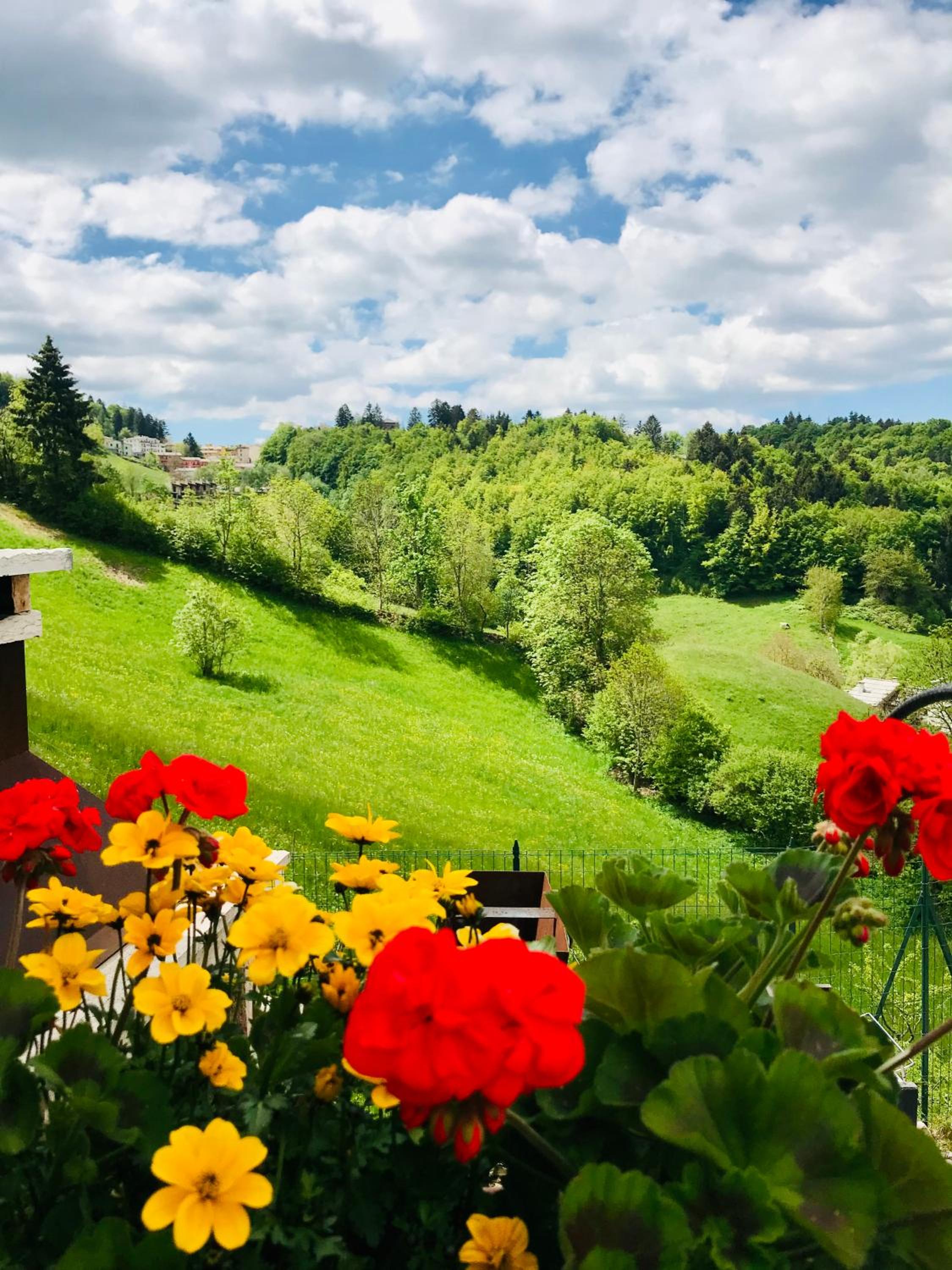 Ongarrelax Apartments photo 3