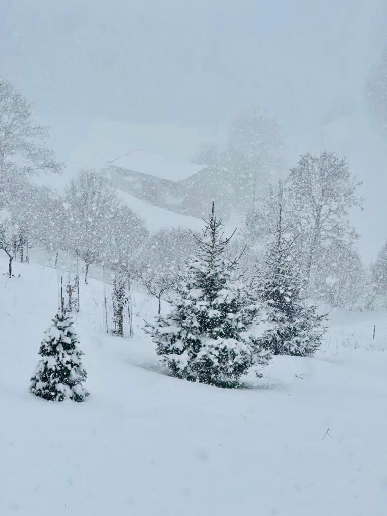 Ongarrelax Apartments photo 4