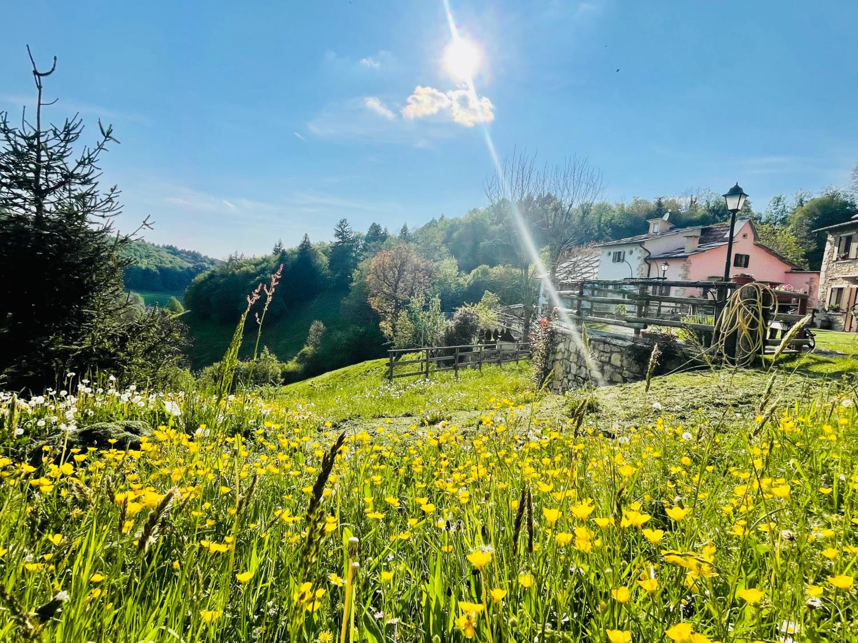 Ongarrelax Apartments
