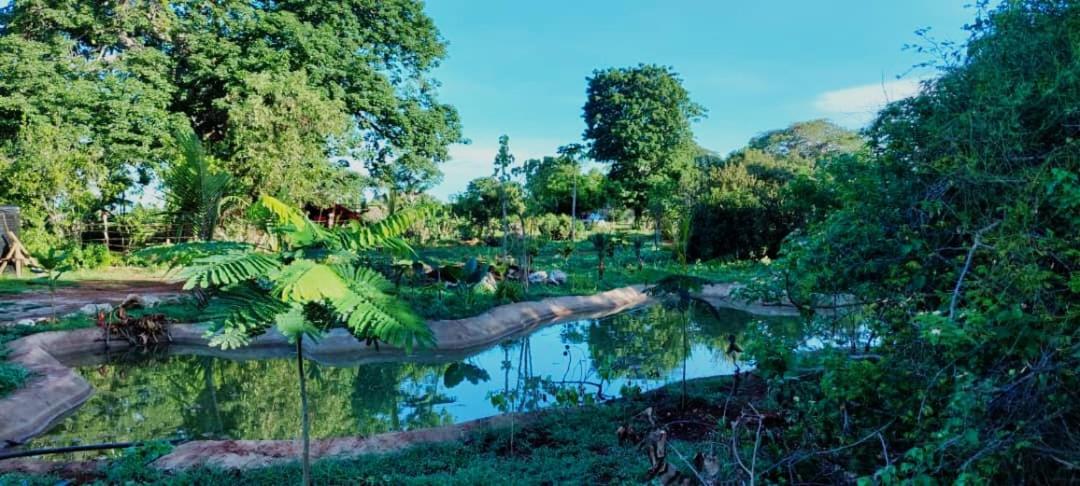 MONKEY MOUNTAIN LODGE