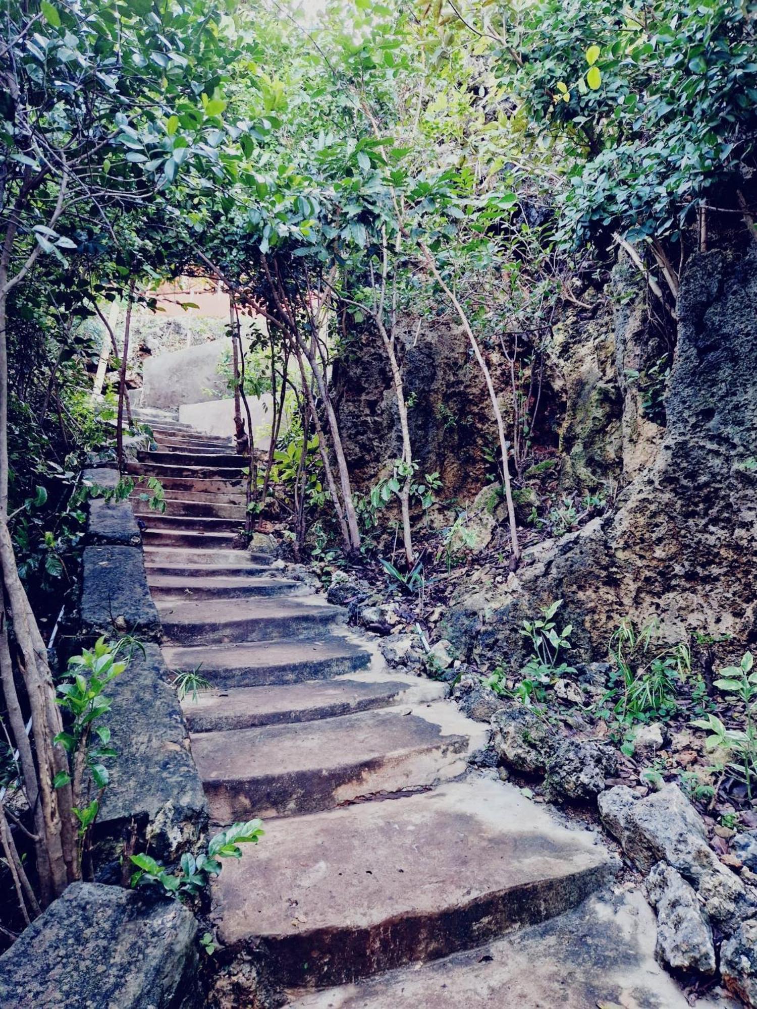 MONKEY MOUNTAIN LODGE