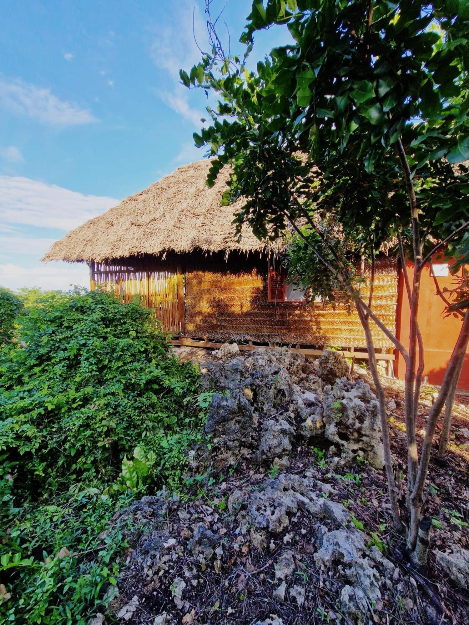 MONKEY MOUNTAIN LODGE