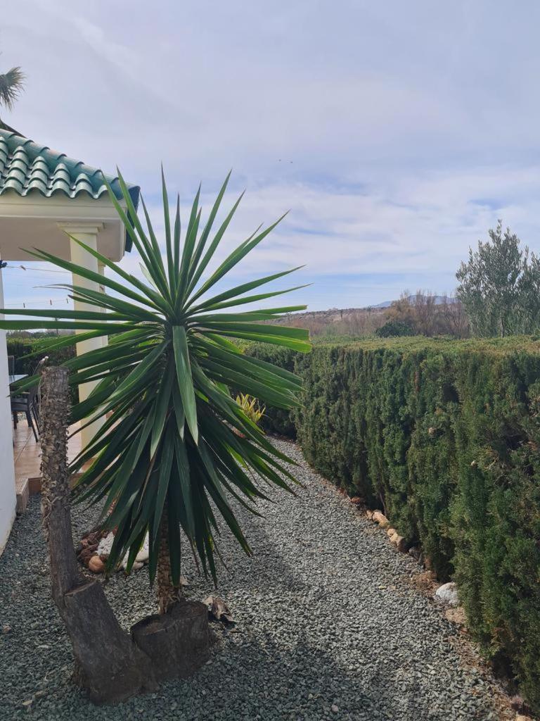 Remarkable 7 bed Villa with private pool view 2