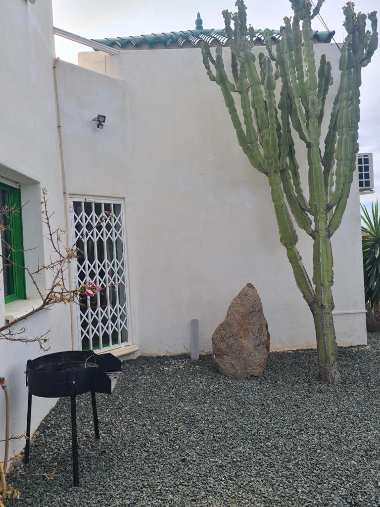 Photo 19