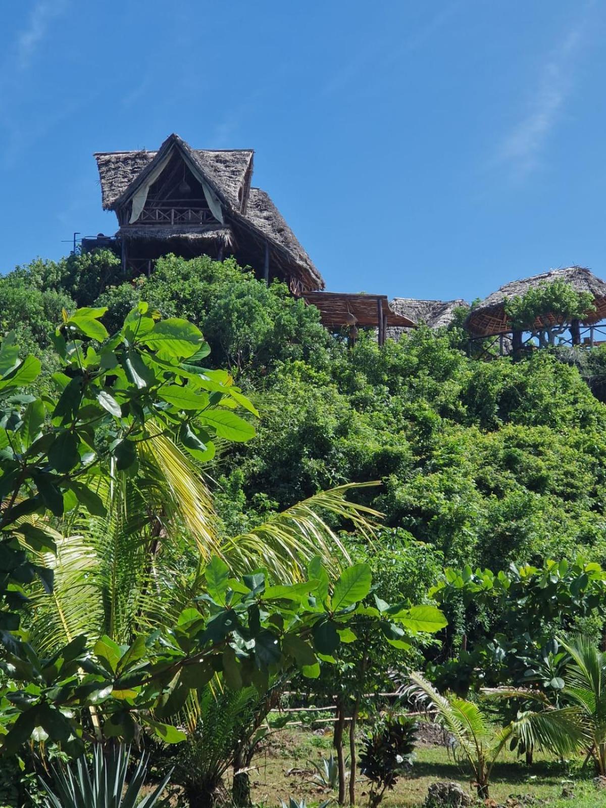 MONKEY MOUNTAIN LODGE