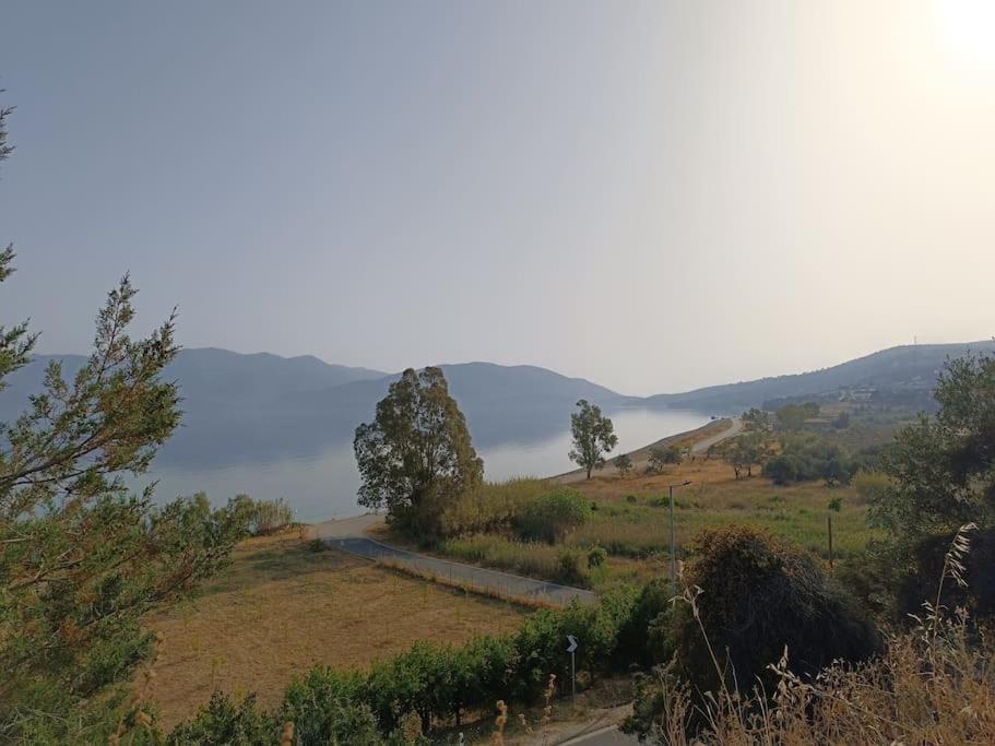 Terra Saronia
