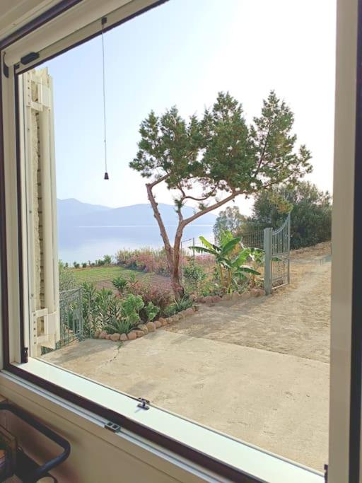 Terra Saronia