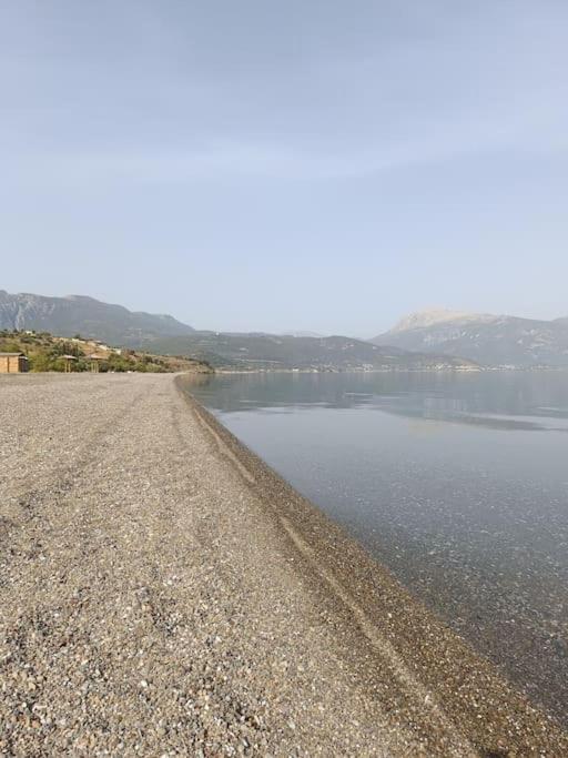 Terra Saronia