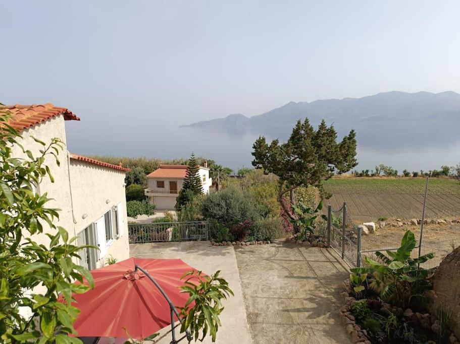 Terra Saronia