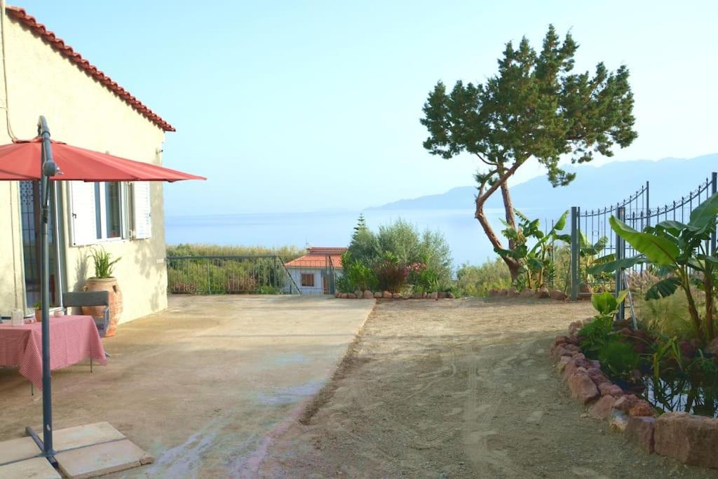 Terra Saronia