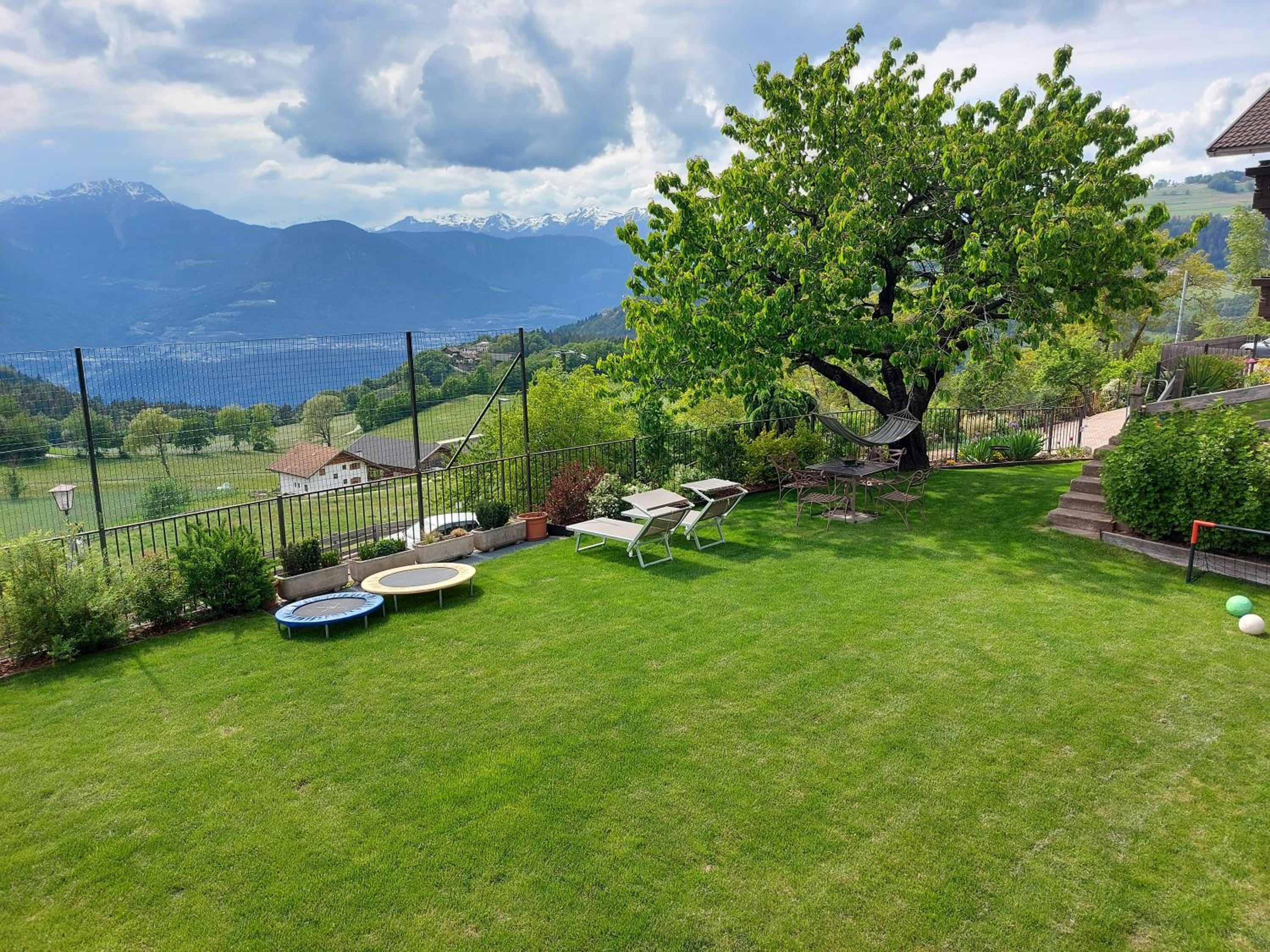 Alpenrose