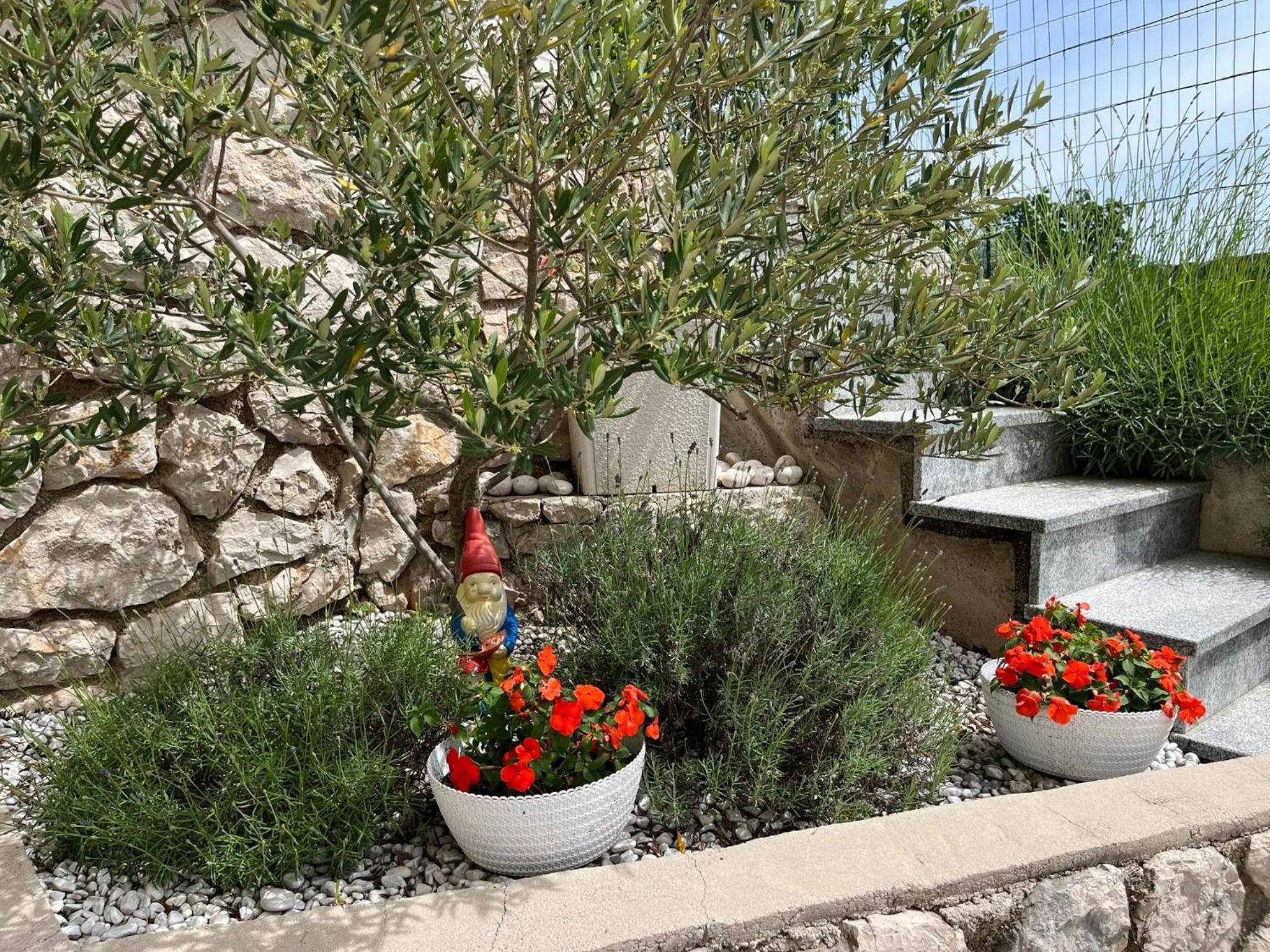 Photo 24
