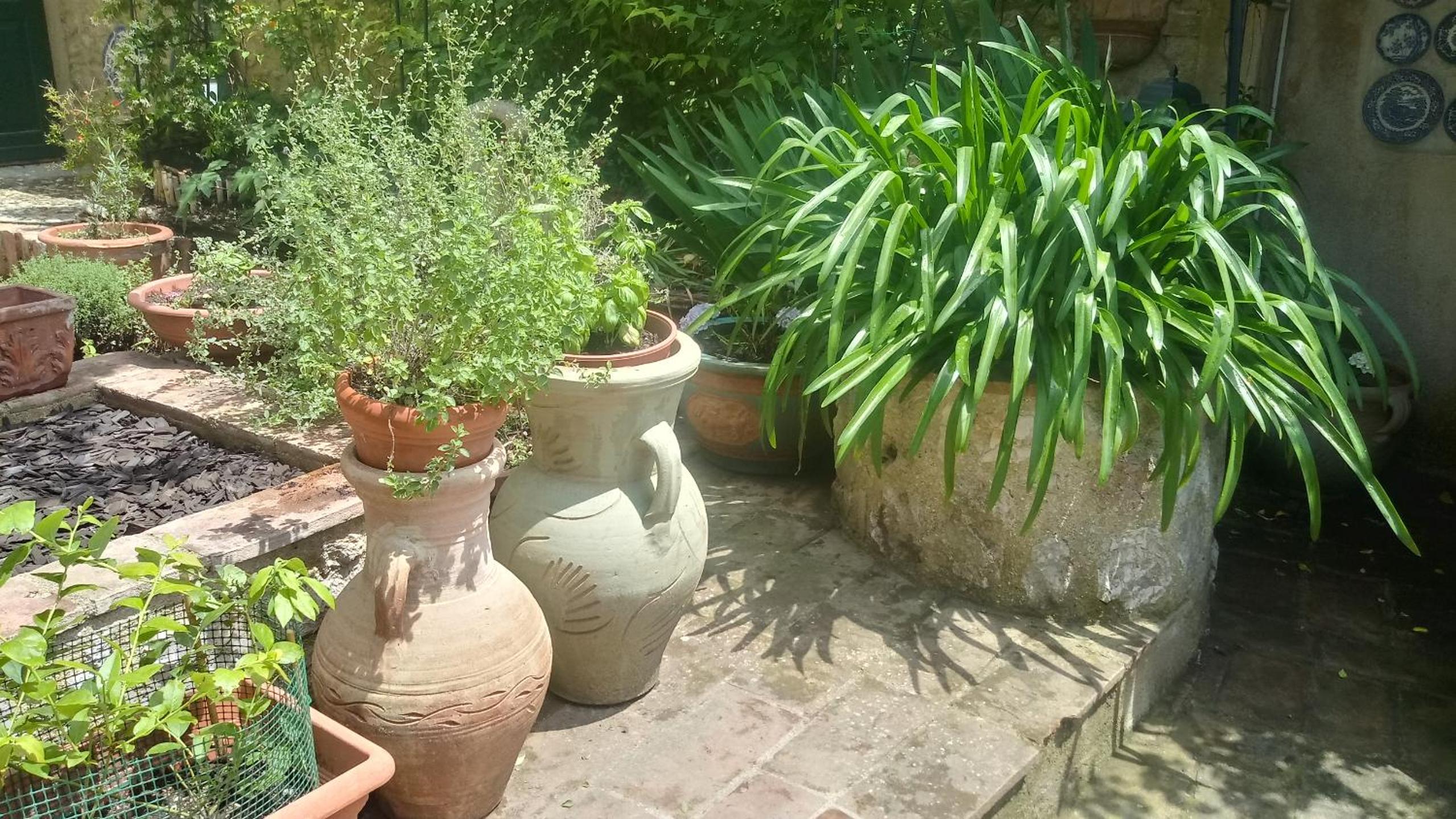 Photo 14