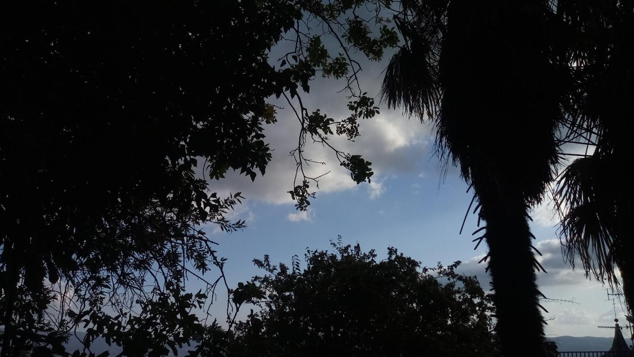 Photo 40
