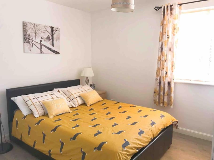 Central Stylish 2Bedroom flat with free parking view 5