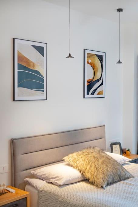 3 BR Modern Gem / Sololaki view 3
