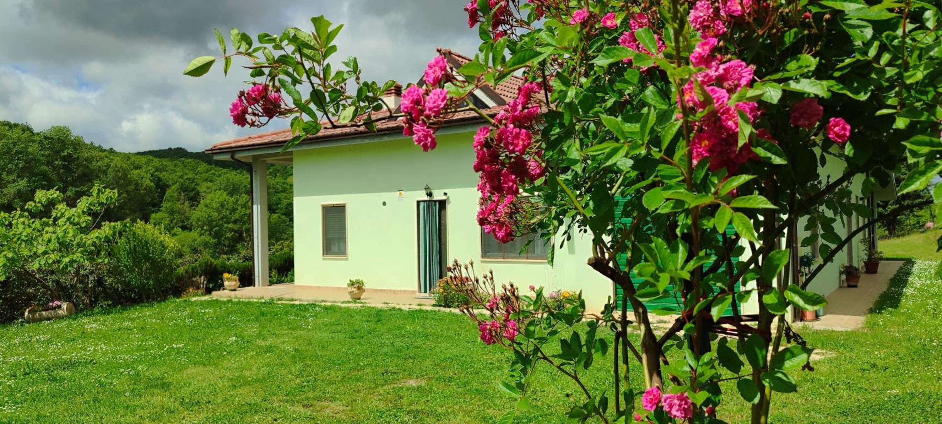 Pia's house garden photo 5