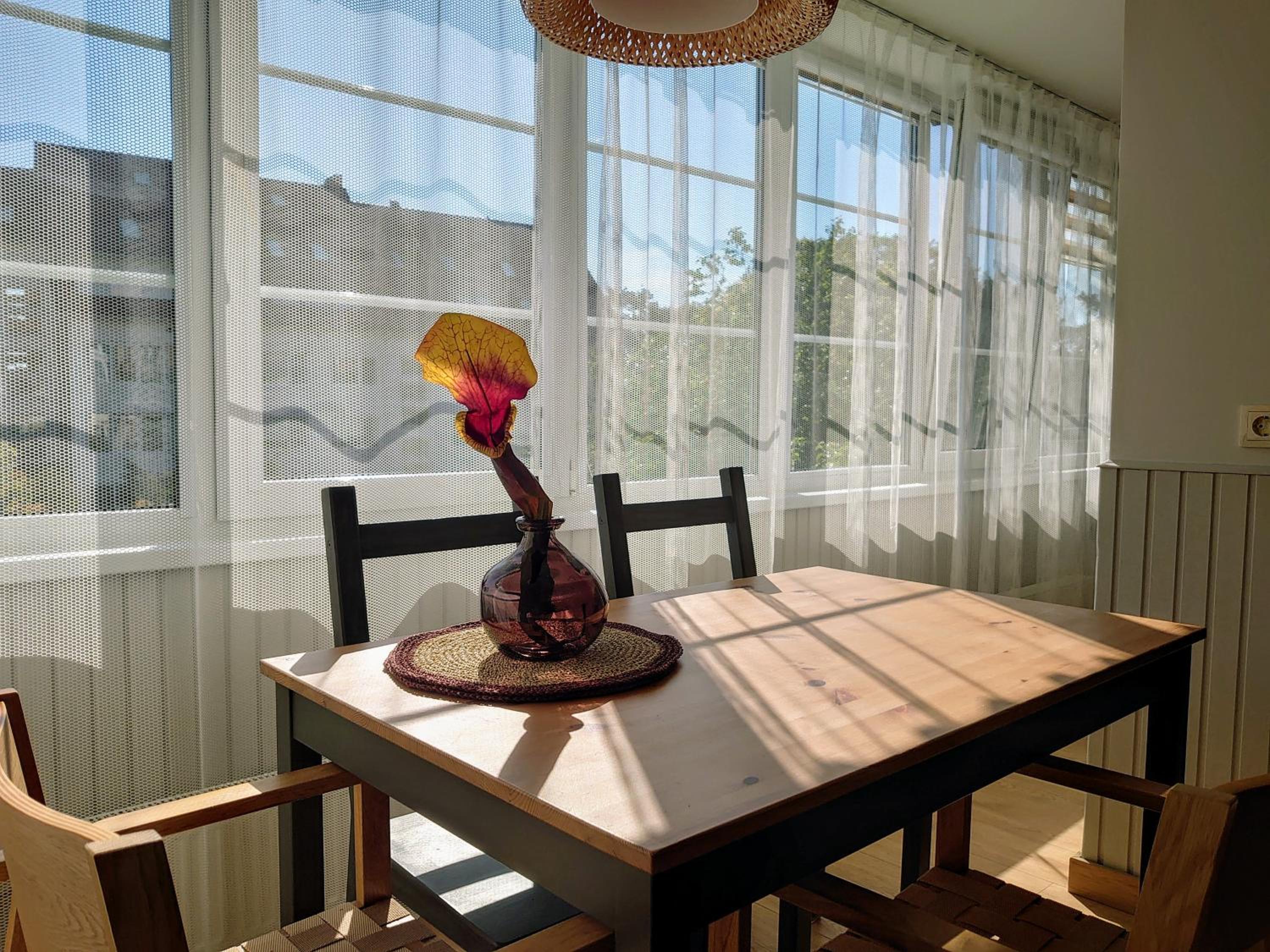 Apartamentai SAULĖTA PALANGĖ