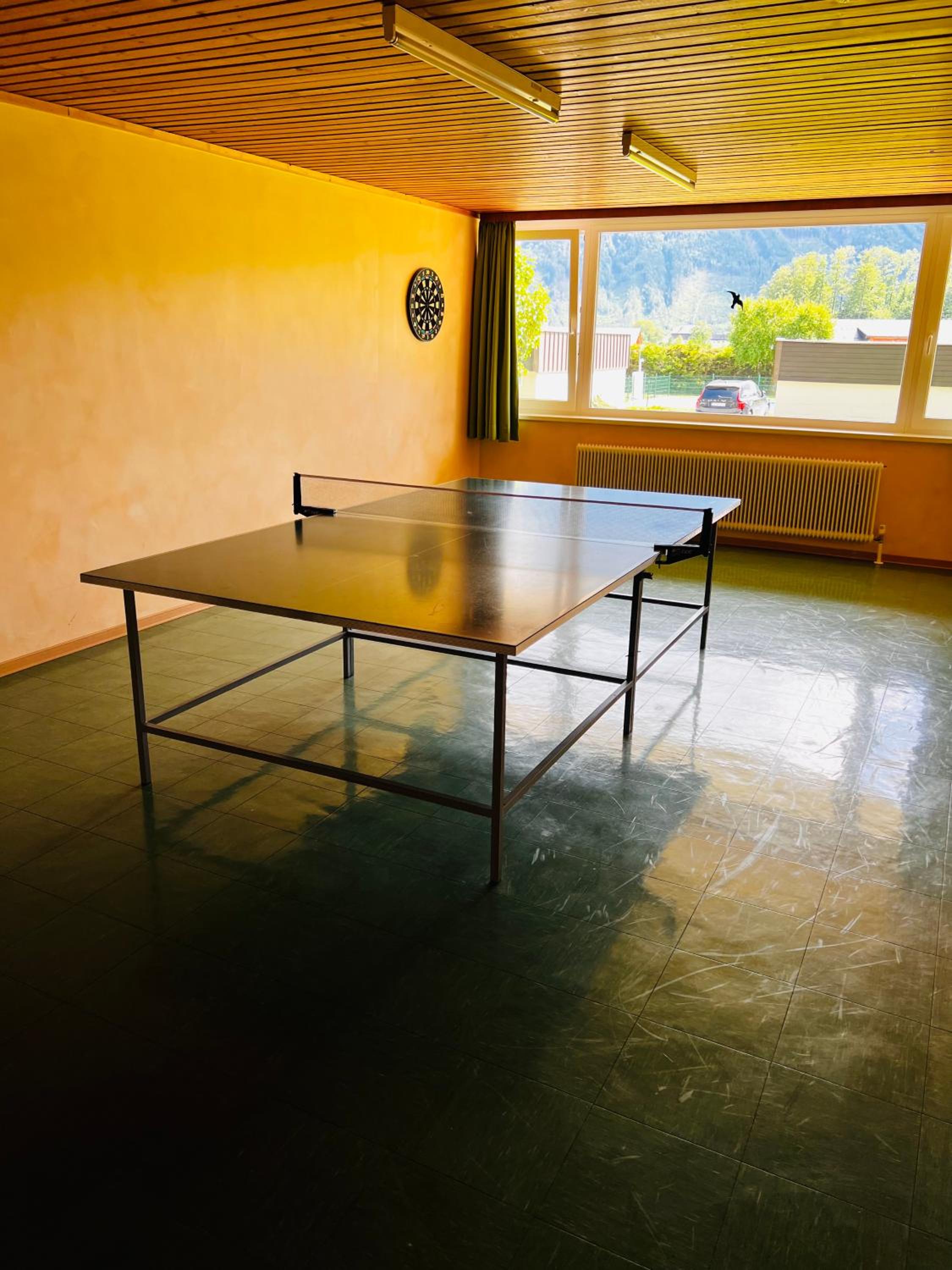 GAMSBLICK Bad Aussee Ferienwohnung