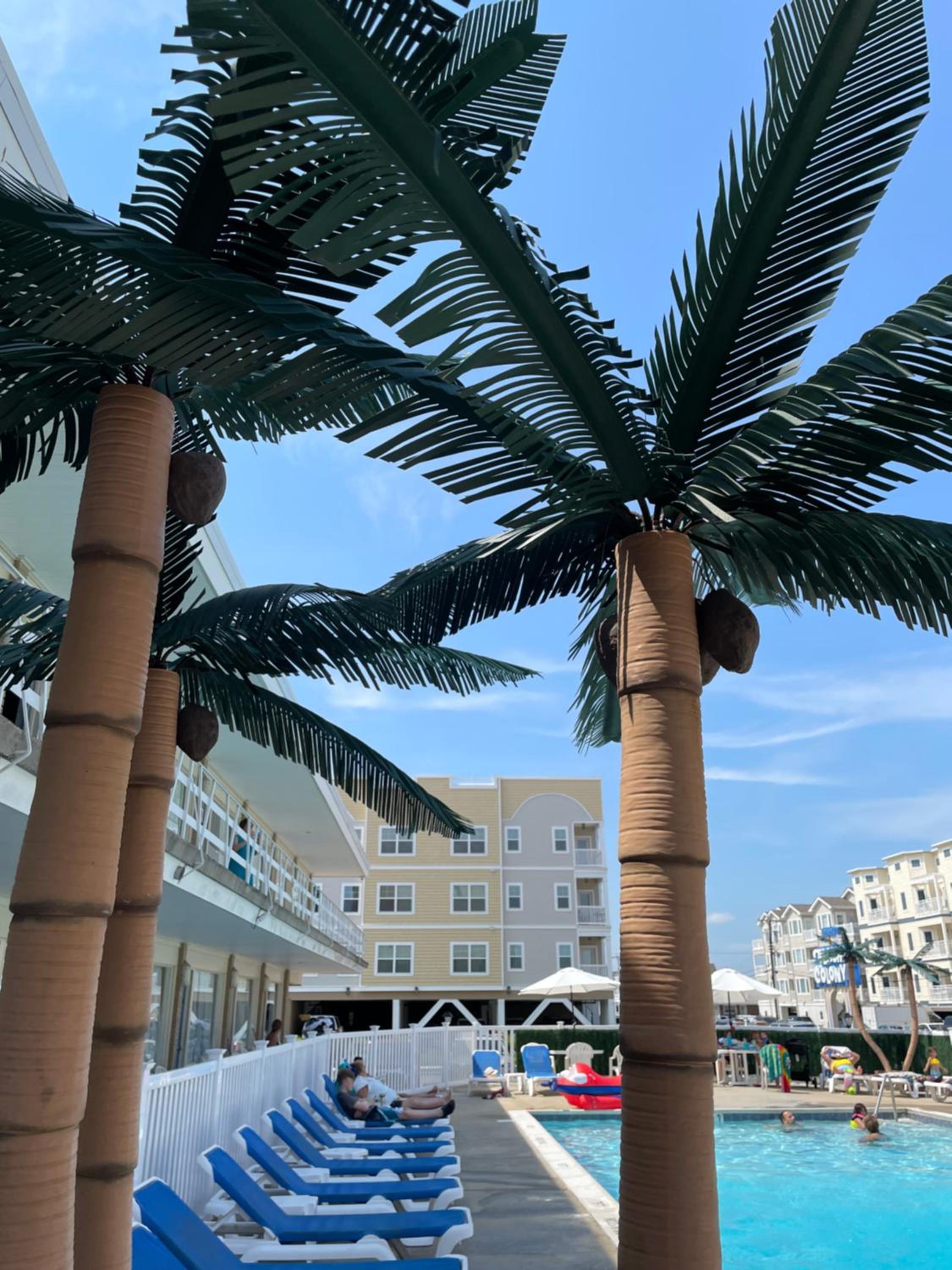 Beach Colony Motel