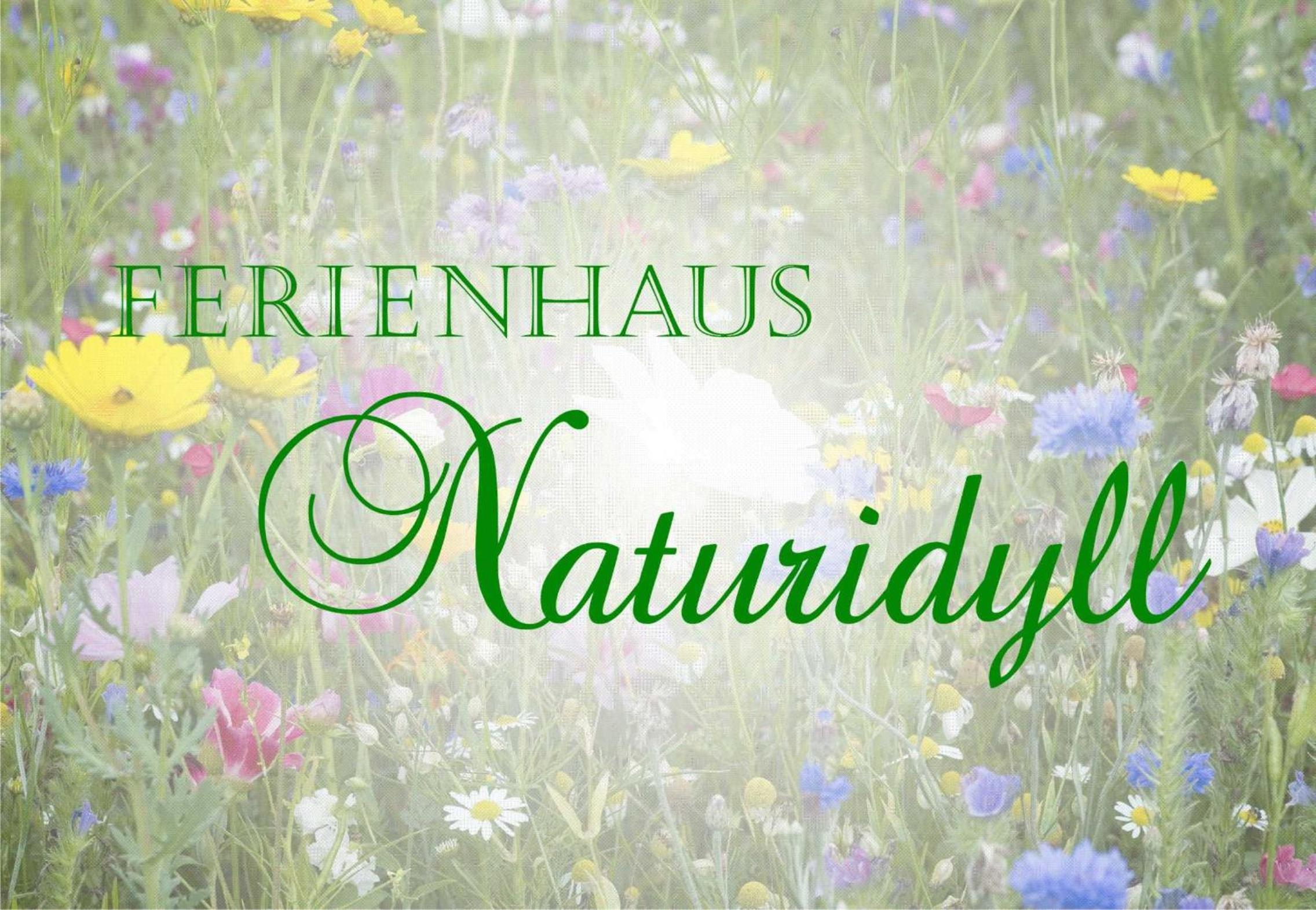 Ferienhaus Falkenhagen mit Garten view 4