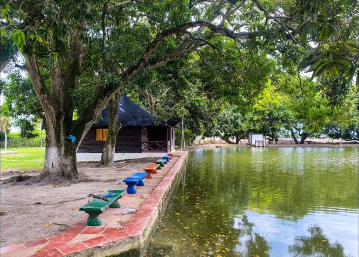 La Palmira