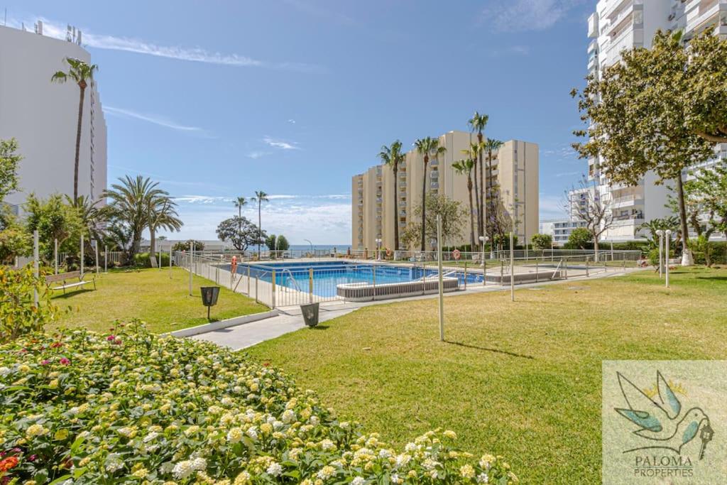 Wonderful studio apartment on the beachfront