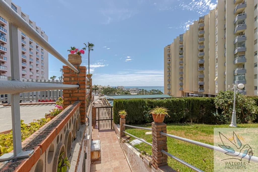 Wonderful studio apartment on the beachfront