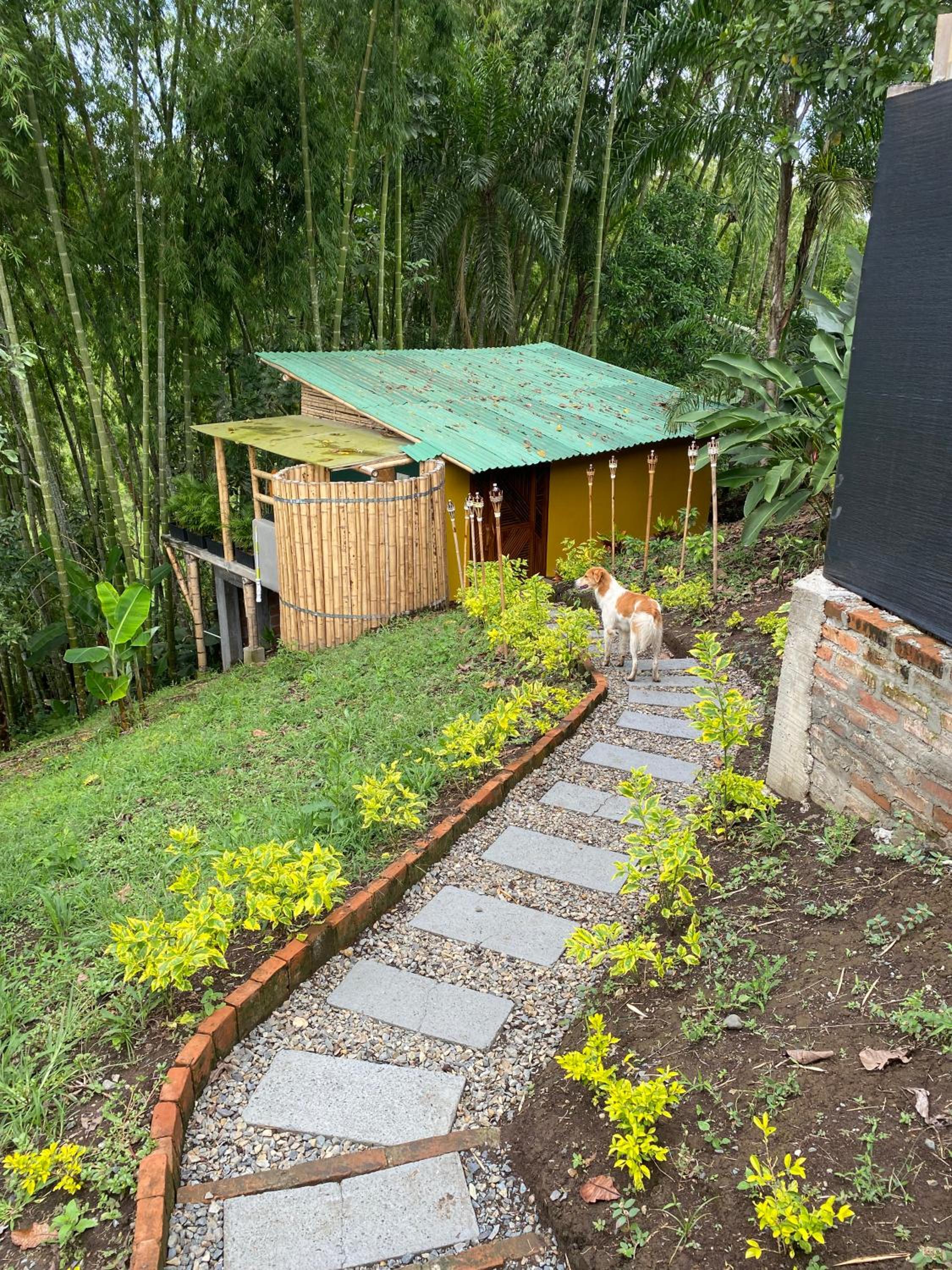 BAMBOO Ecohotel