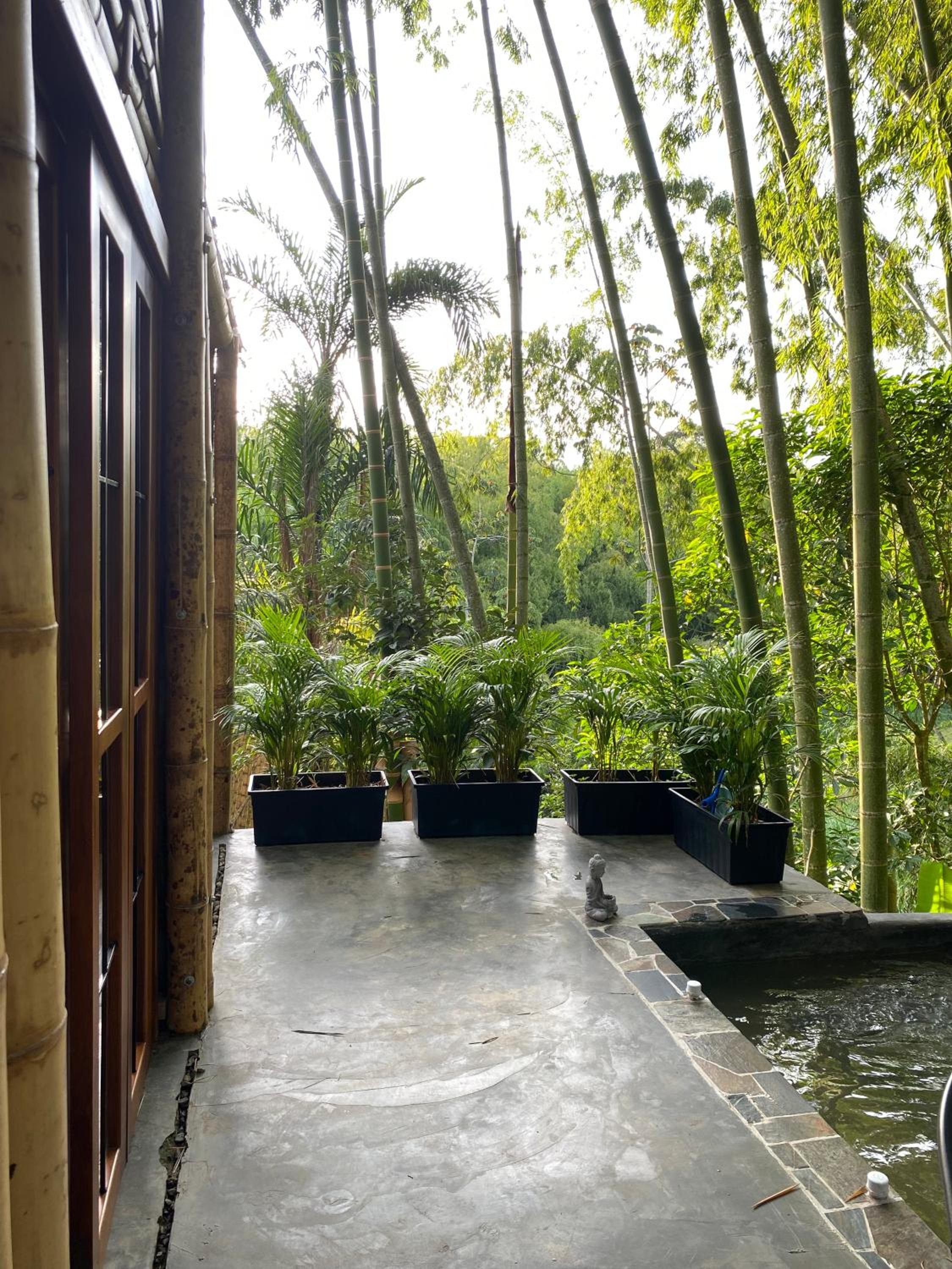 BAMBOO Ecohotel