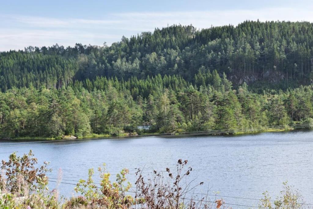 Flott Ferieleilighet - Øyslebø view 5