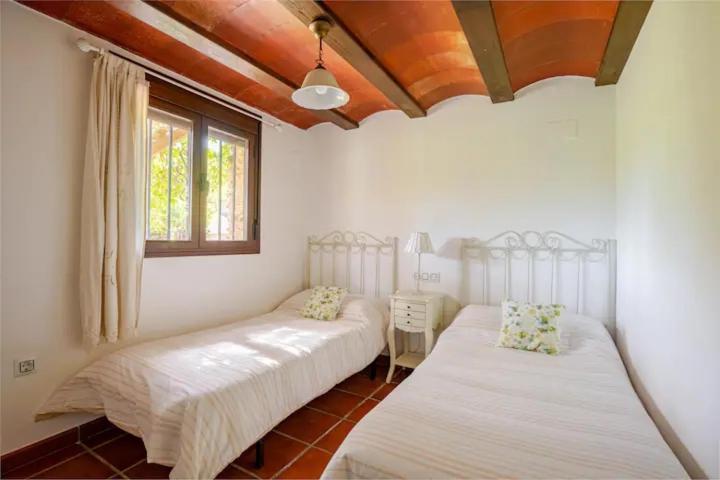 Huerto Los Castaños