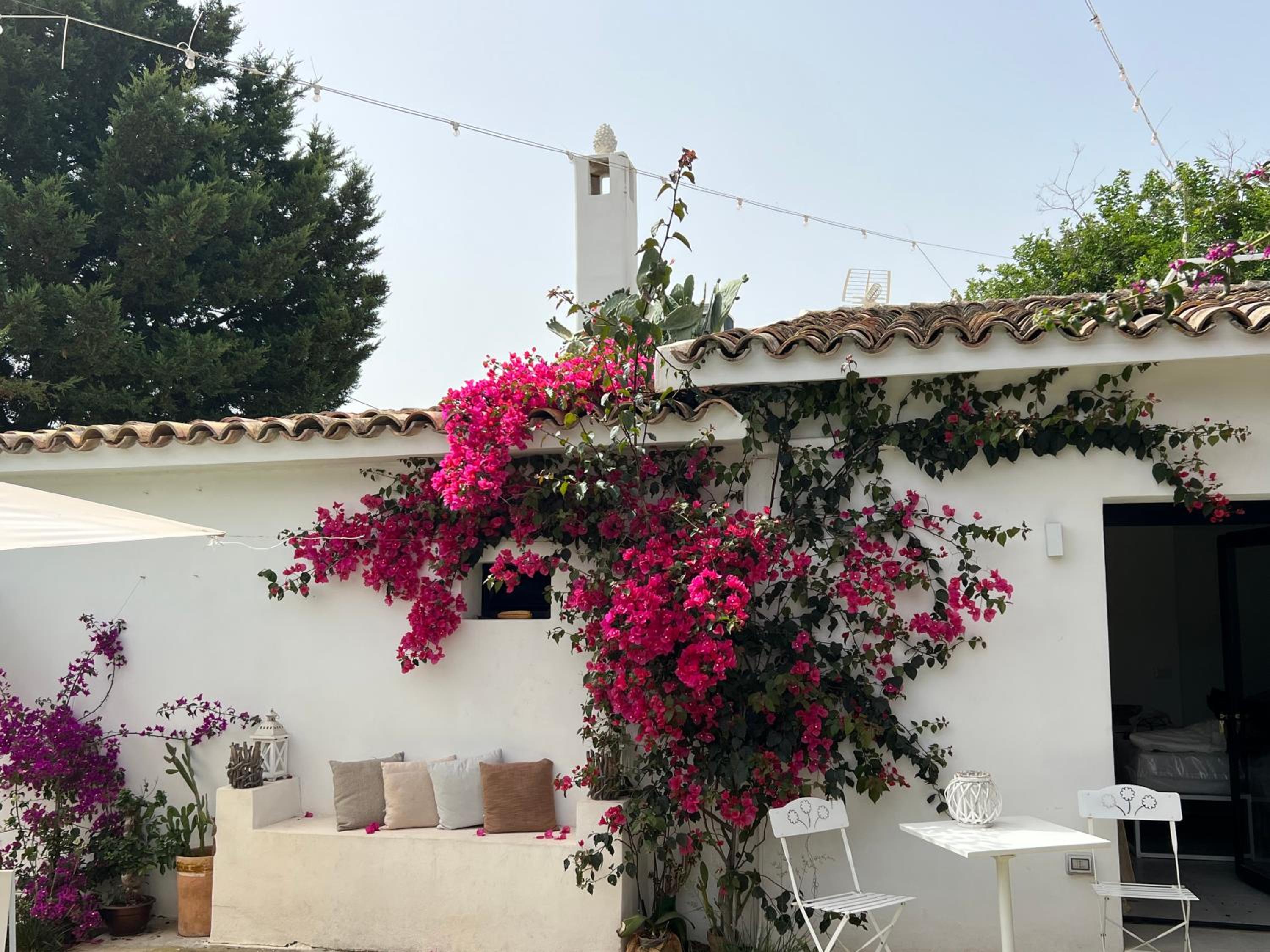 Masseria Iole photo 4