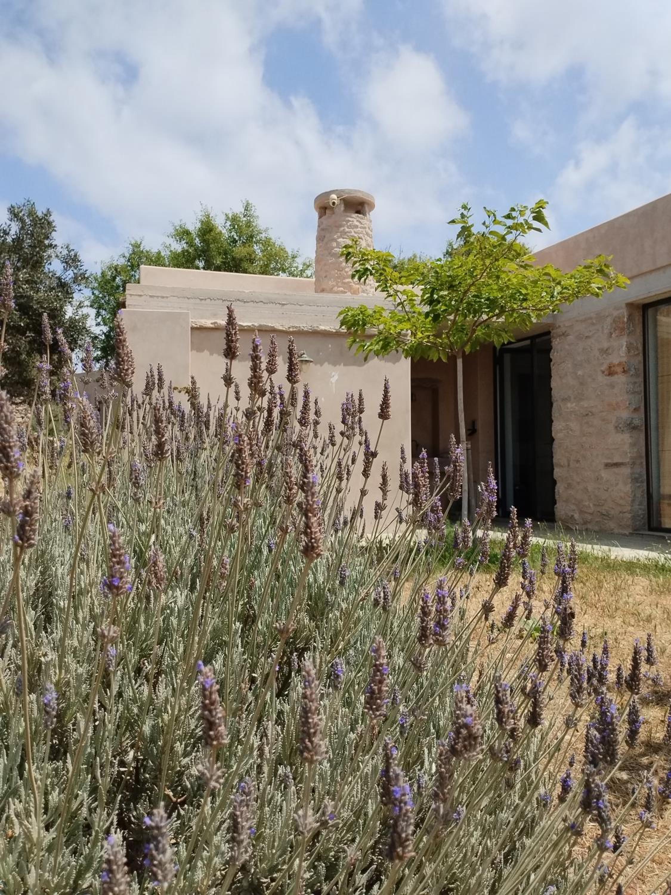 Oxalis Villas