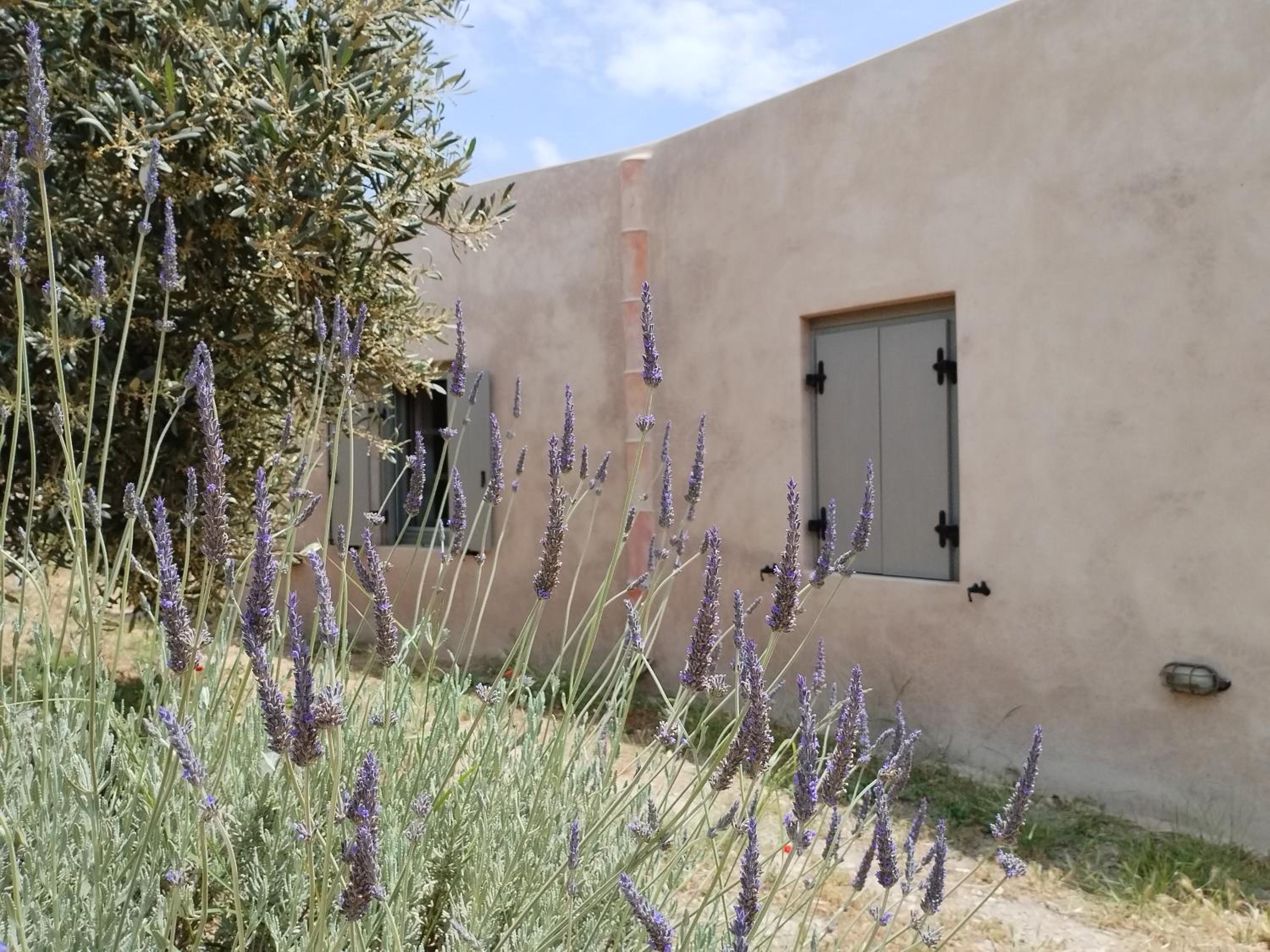 Oxalis Villas